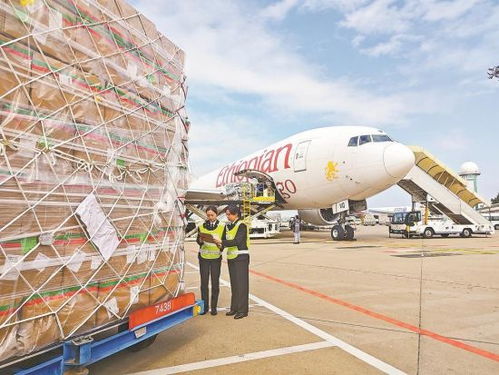 國內首條金磚跨境電商空運專線累計出口包裹突破4700萬件，助推經(jīng)貿合作提質升級